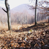 1.VT-Spod Šimonky