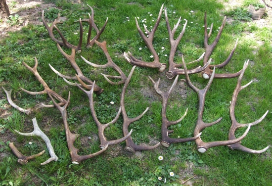 Sezoná 2011(Moja sezóna)