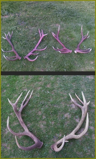 Strieborné - sezóna 2011