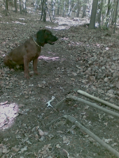 Pri hrabaní chodníka (kamarátov)