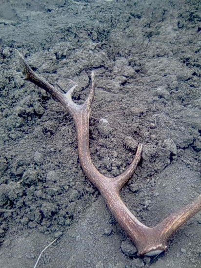 Zo Slánskych Vrchov