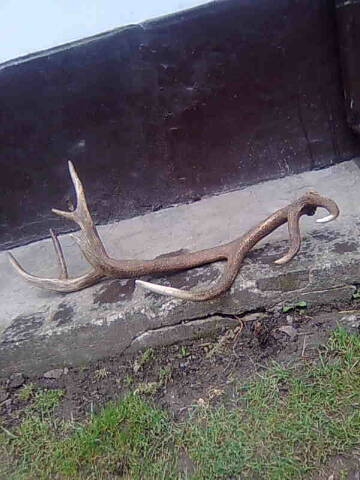 Zo Slánskych Vrchov 1