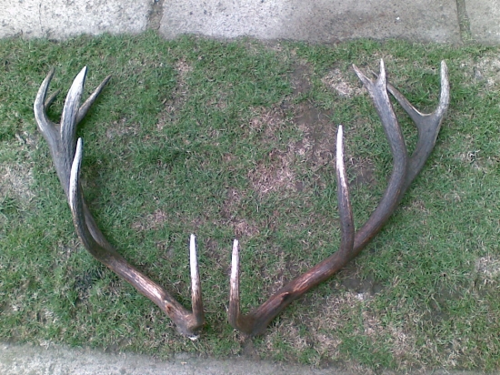 Kamarátovi do páru (a už sú spolu)