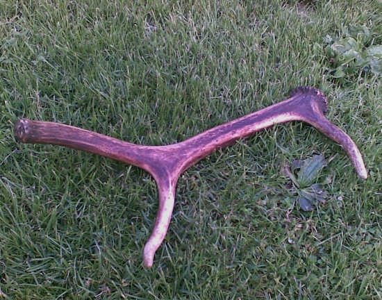 Záujímavy 6-toráčik