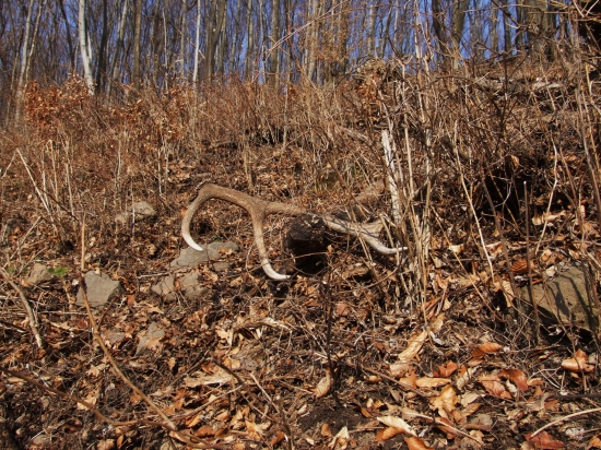 no konečne mam aj ja