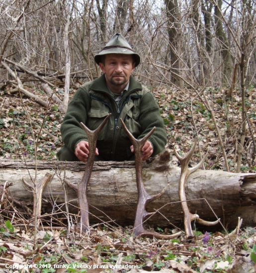 pekny den