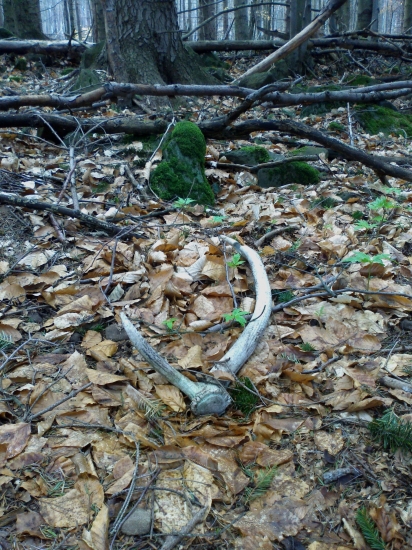 zhod a zaujimava minulost