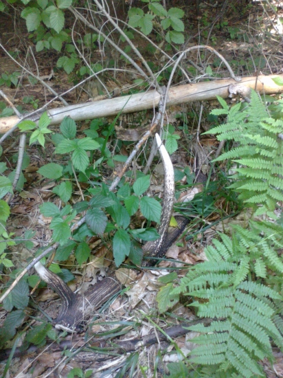 po roku do paru,čakal ma