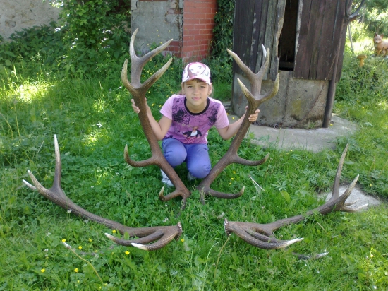 Slanske vrchy.5.  2 roky po sebe