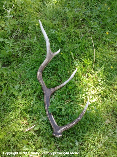 Slanske vrchy .7.