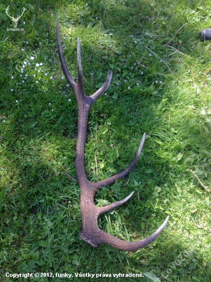 Slanske vrchy .7.