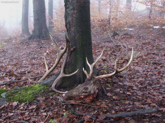 Prvé tohto roku(kamarátove)