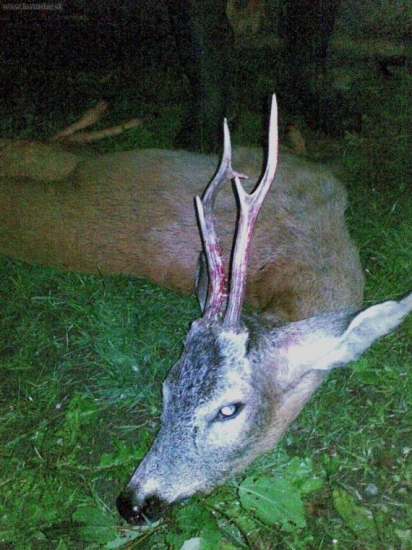 zahraničný hostia 2.