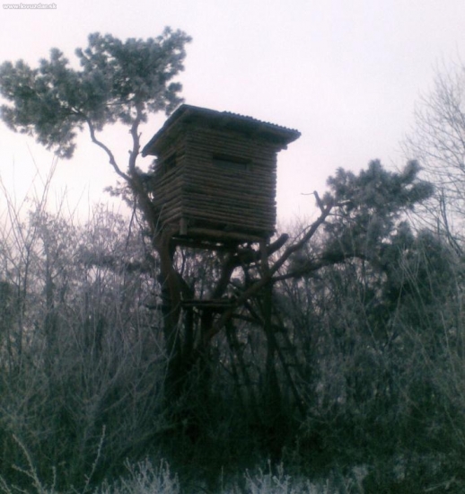 tá drina stála za to ......