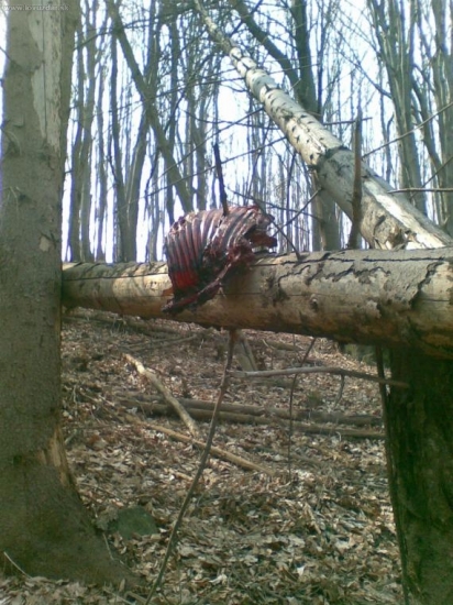 aj to sa ešte deje.....