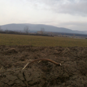 Polny kilač