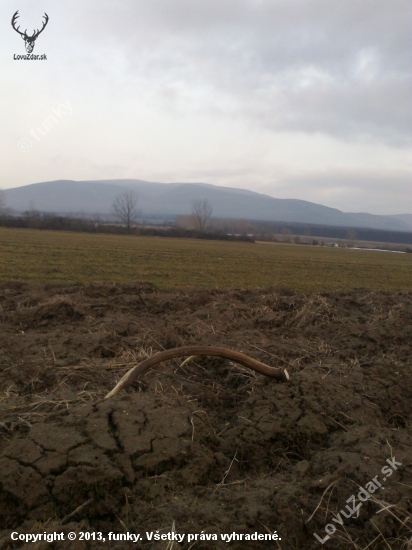 Polny kilač