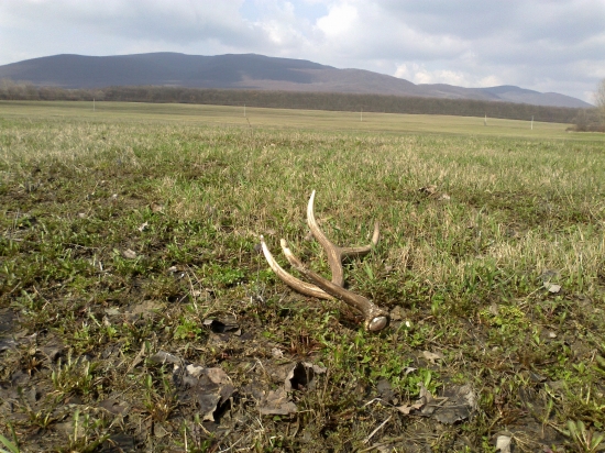 Dnes čerstvo zhodeny.