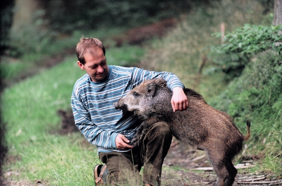 Našli sme ho pri tažbe dreva.