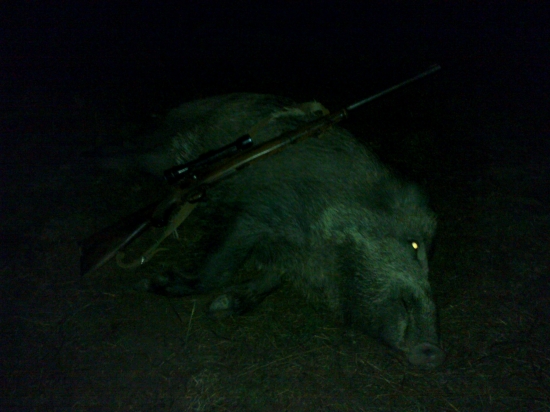 A tak sa mi nechcelo vstavat