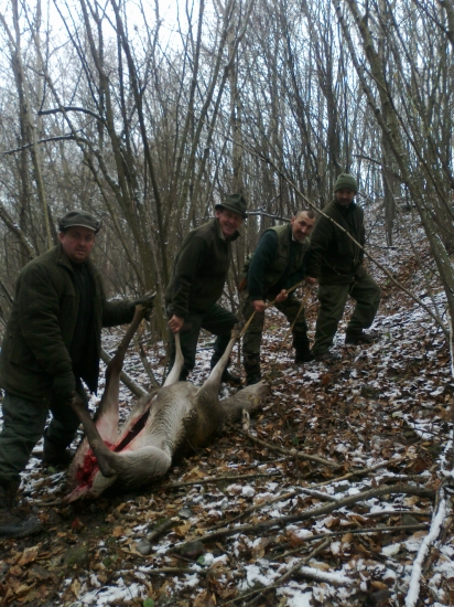 A poriadne!tahame tahame