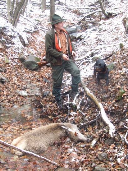 uspešna dohladavka 1,5km