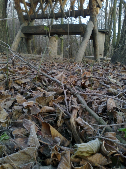 čoto tam rastie zo zeme?