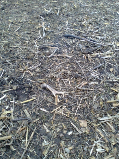 Dalši v novom roku.