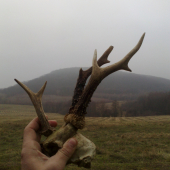 Rano 4.1.2014