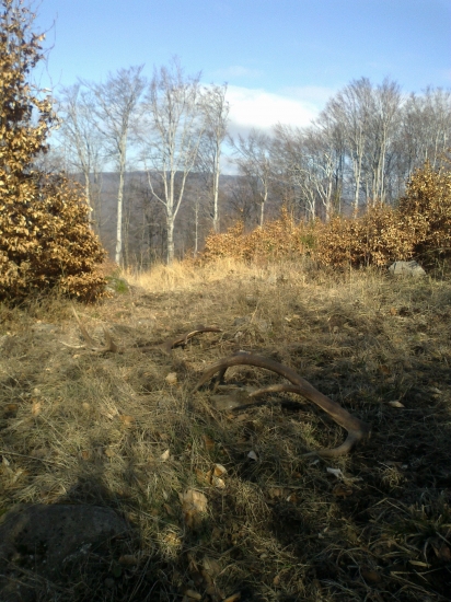 6;7-2014 Dnešna štrnastka. 178b