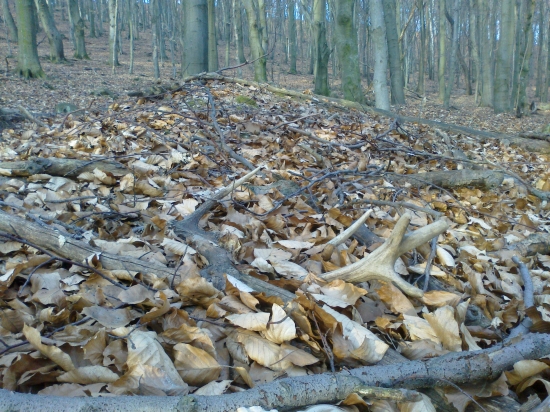 8-2014 opať minuloročny