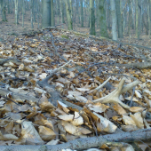 8-2014 opať minuloročny