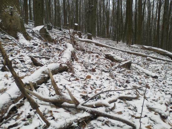 9-2014 oplatilo sa šlapať na hreben.