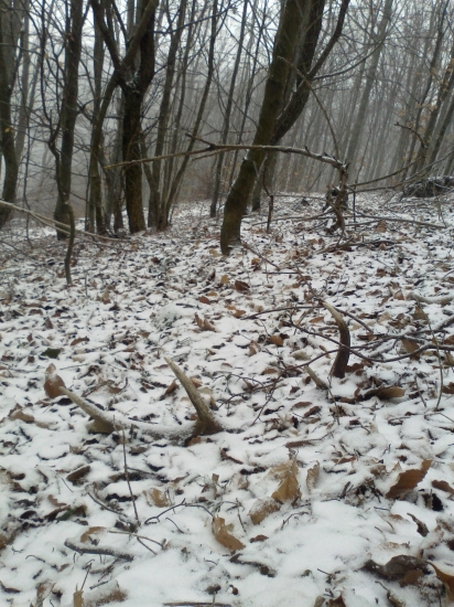 10-2014 druhy zo vcerajska