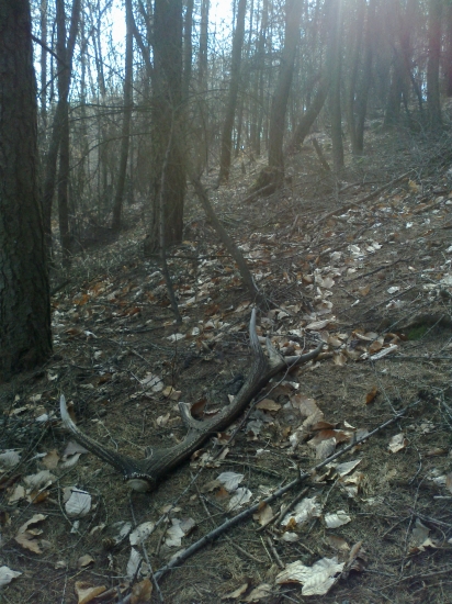 11-2014 počkal si rok.