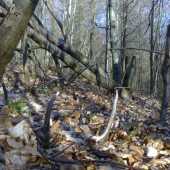 12-2014 potešil