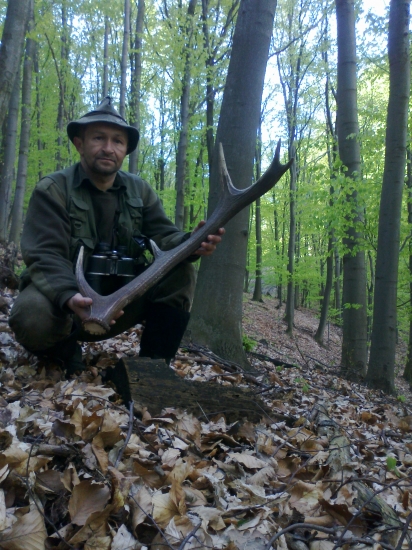 14-2014 stych krajšich