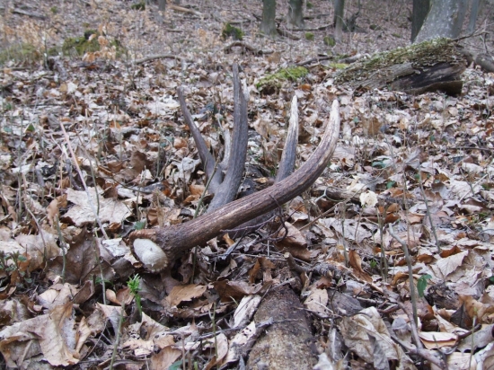 vačši adrenalyn jak horska draha,,