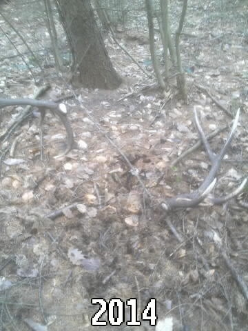 kamarat mal maly fotak,nevošli mu do zaberu....