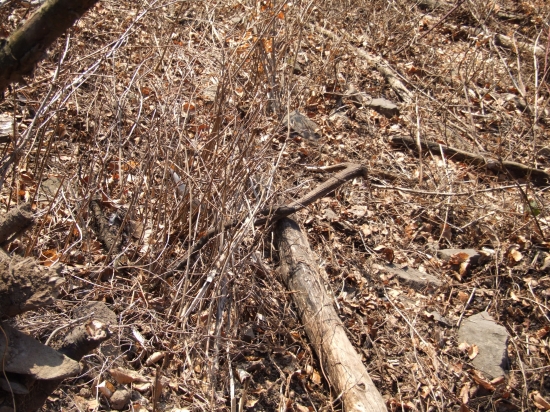 nestihol sa ukryt,ale rok tam bol