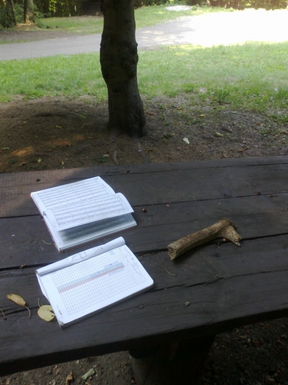 Taky velky,musel som ho s kubikovat.