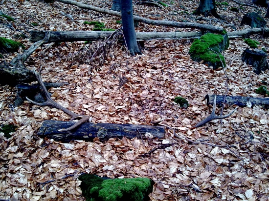 prešiel som okolo nich....