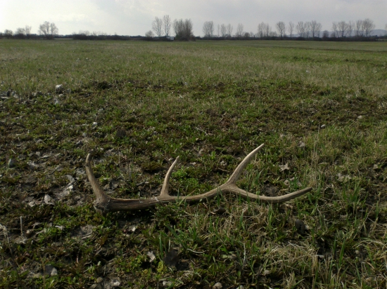 Na luke,zbadal som ho až na 2m.