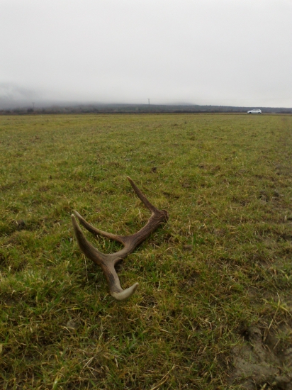 z auta cez dalekohlad.