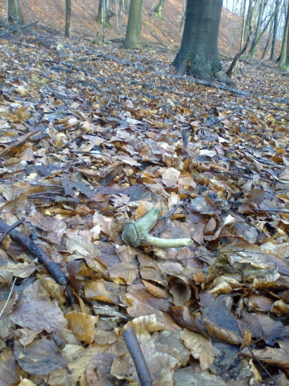 sezona zahajena a hned kapitalny  1/2015