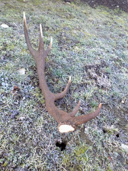 12-ka u kamarata a 3,07