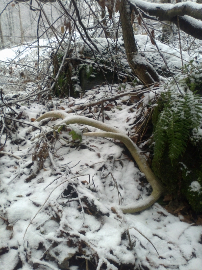 zbledol od tolkeho čakania na nalezcu