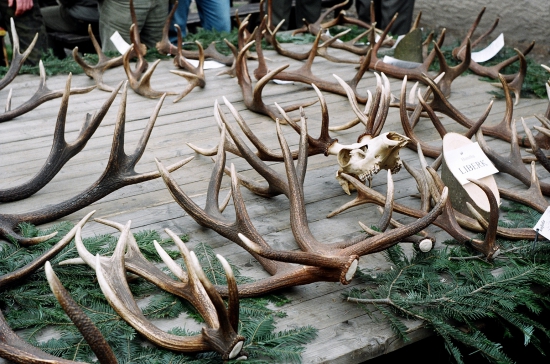 Vystava zhodov-Orlicke hory 2006-Liberk