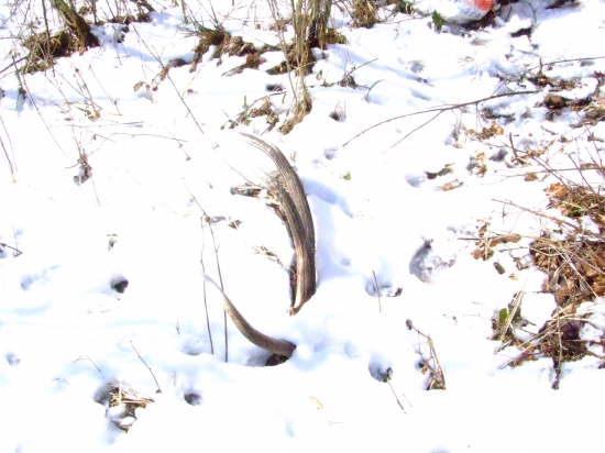 Slnečny den a 12-torak