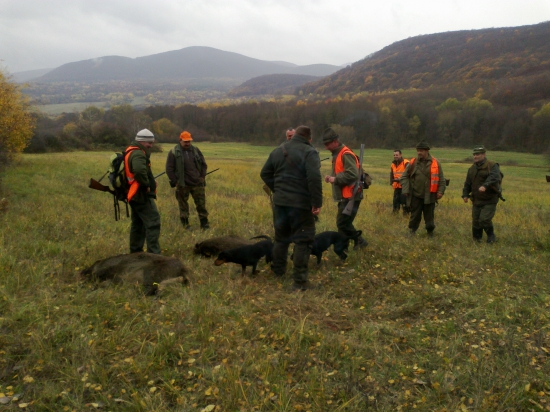 Spoločna 2015